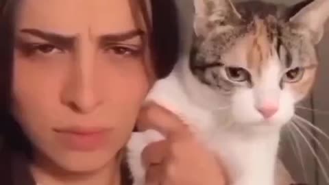 Cat - Stop Being Annoying Lady