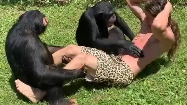 Monkey trainer helps in abs workout comedy video