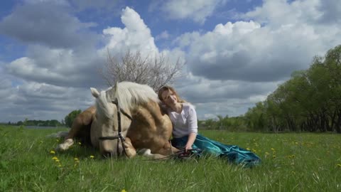 A horse laying dawn on a field