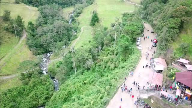 Cocora valley in Quindío, Colombia