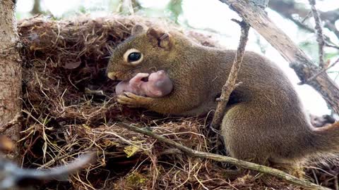 Heartwarming Animals Pictures You’ll Love