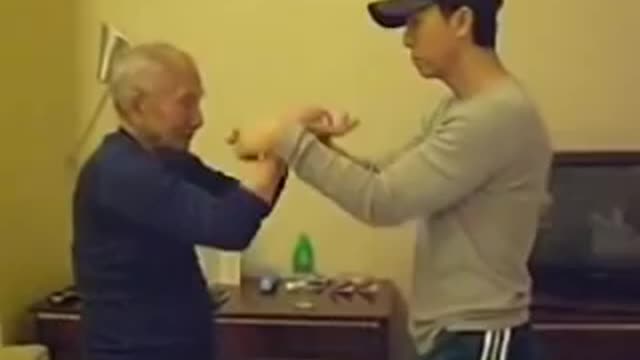 Ip Chun Donnie Yen Chi Sao