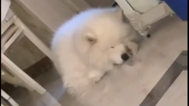It's sleeping time shake his hand on his nose