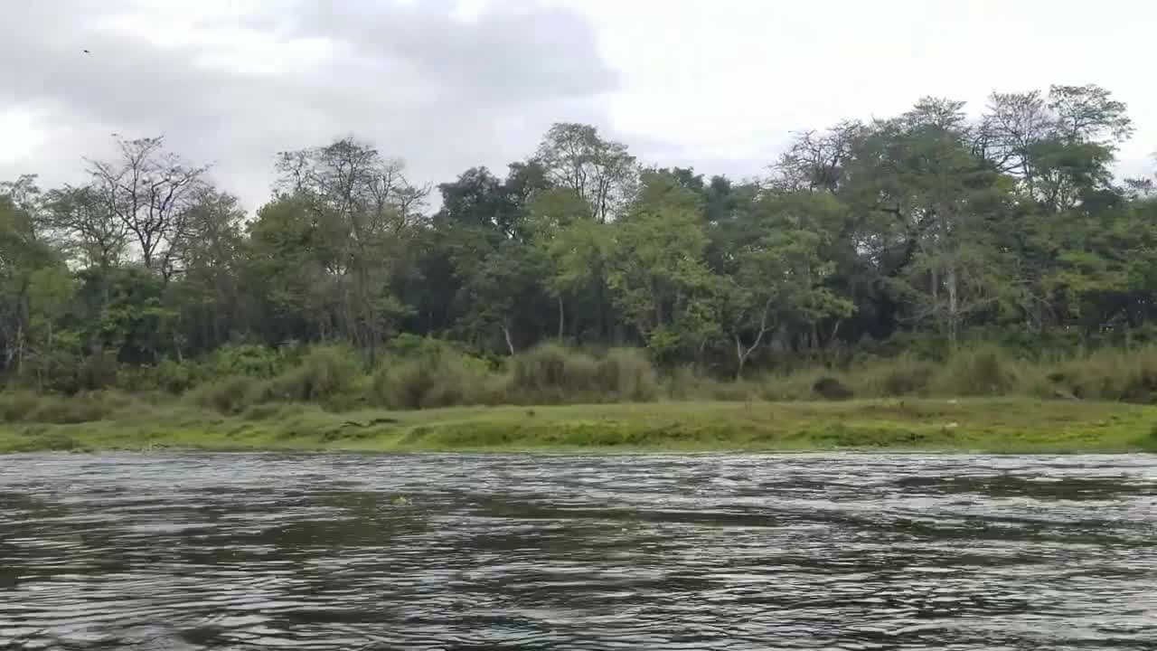 Canoe at rapti sauraha