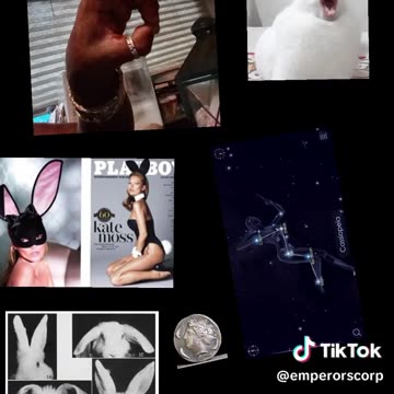 BLOW ME YOU CUNTS FACE YOUR EVILS IN MY HOUSE