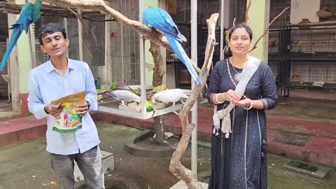 Coconut Water For Birds Parrots