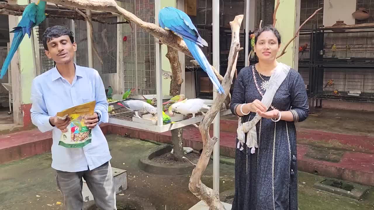Coconut Water For Birds Parrots