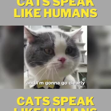 Cats speak like humans