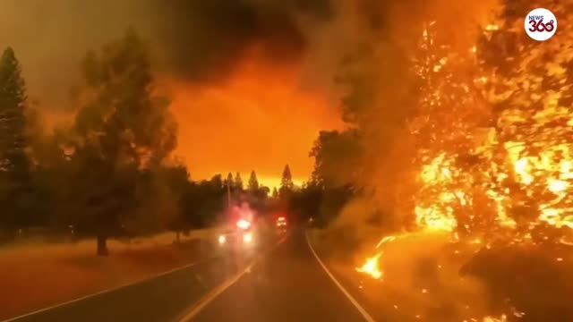 Oak Fire: Emergency declared as wildfire rages near Yosemite National Park