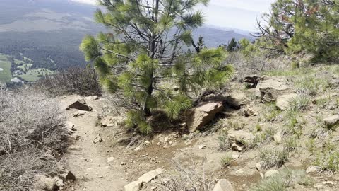 Descending Steep Section of Black Butte Trail – Deschutes National Forest – Central Oregon – 4K