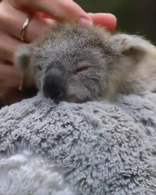 Esta bebé rescatada ya ha crecido y su rescatista rompe a llorar en su primer día de preescolar
