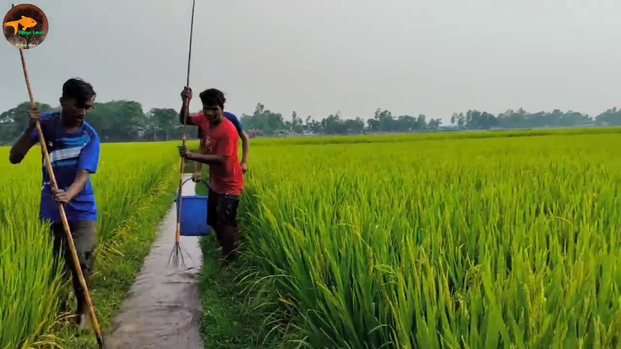 Best Unique Fishing technique➡️Unbelievable Drean Fishing Video🥰Amazing 2 Boy Catch Lot Of Big Fish