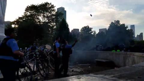 Law enforcement protecting a statue