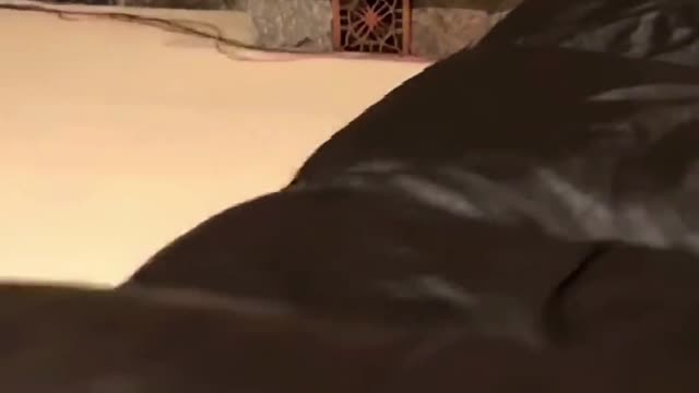 So cute that it hurts