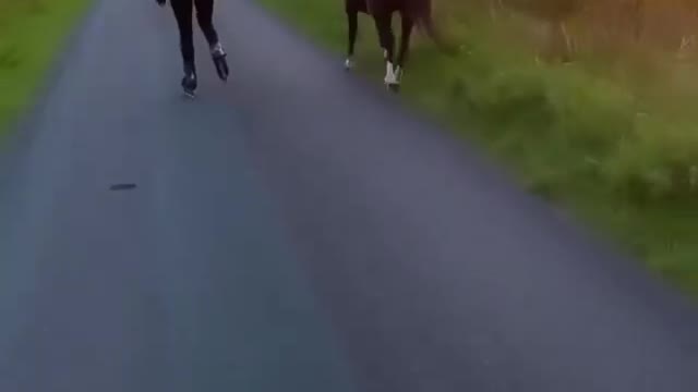 На перегонки с лошадью