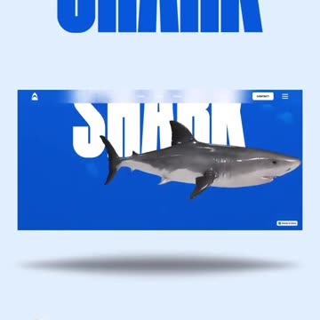 Enhance Your Website with UI/UX Design | Grainger Web Design