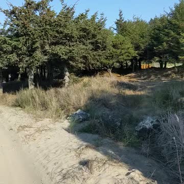The Beautiful Beach Trails Out in Oregon