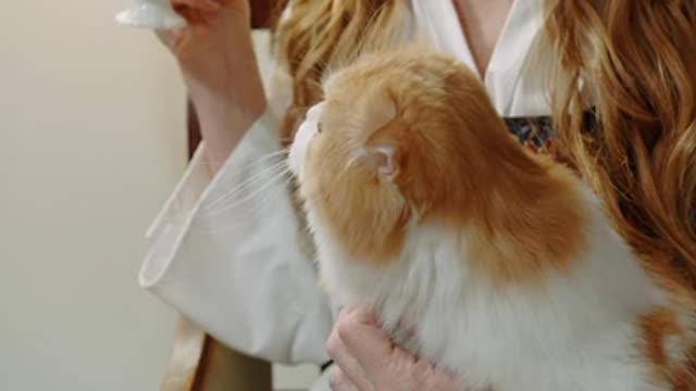 The woman is drinking coffee with a beautiful cat