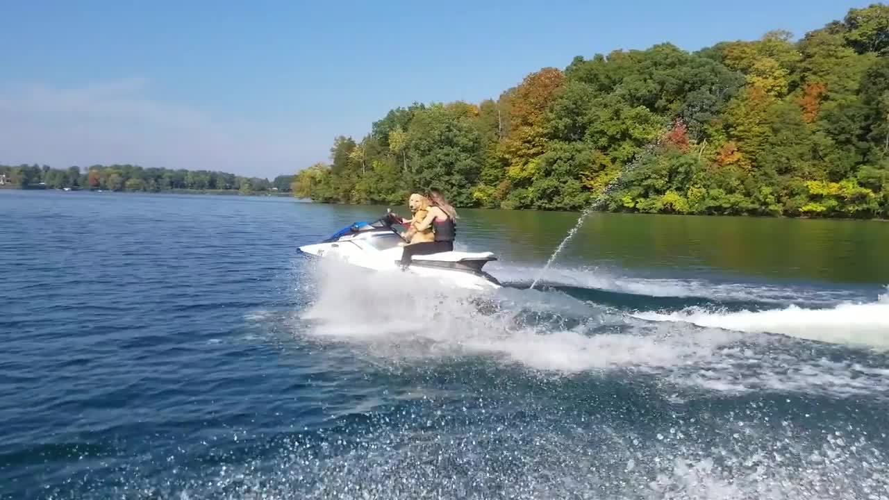 GOLDEN RETRIEVER PUPPY JET SKI EXPERIENCE