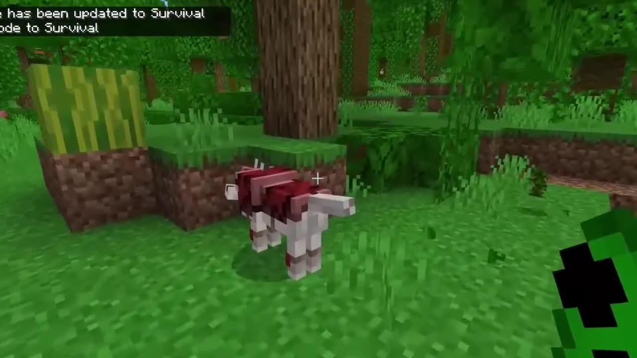 Ultimate Survival Guide: Armored Dog vs Creeper Explosion!