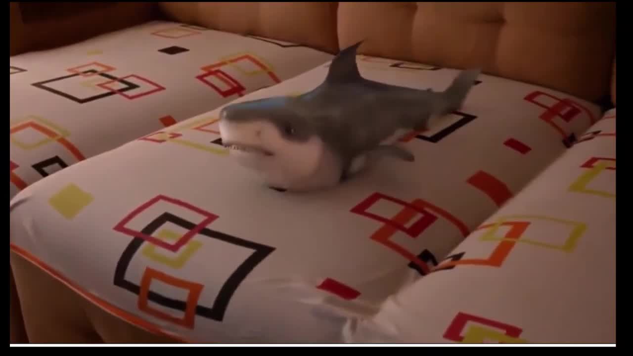 Funny Baby Shark Laughing