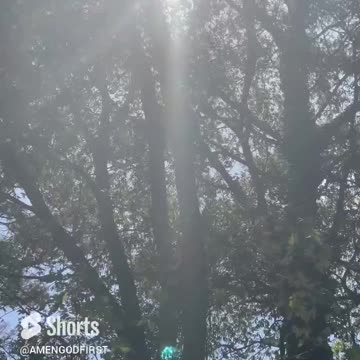 I had too love nature #shorts