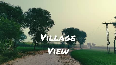 #Village_Morning_#view