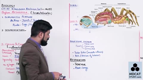 LEC#11 PHYLUM ARTHROPODA (PART-A)