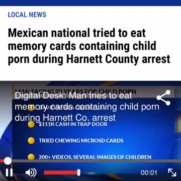 MEXICAN NATIONAL BUSTED WITH CHILD PORNOGRAPHY