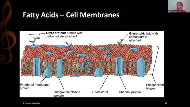 CHRONIC INFLAMMATORY DISEASE 2