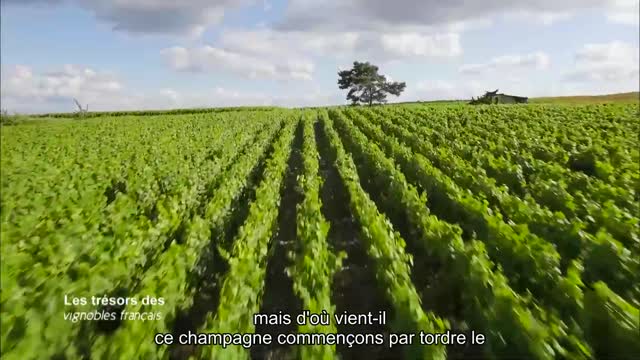 Les trésors des vignobles français30