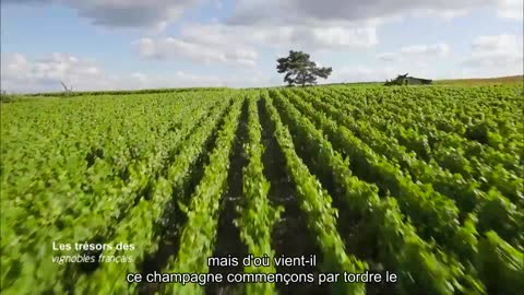 Les trésors des vignobles français30