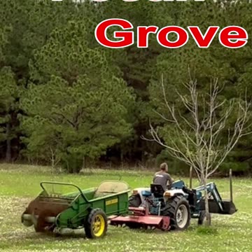 Having a bite of Composted Manure