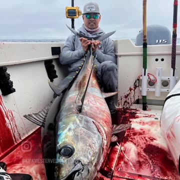 Noyo Harbor California