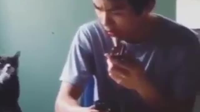 A smart cat deceives the boy