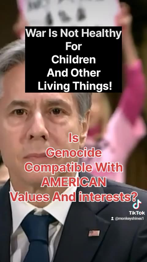 Anthony Blinken At Senate Hearing Hears War Is Not Healthy For Children And Other Living Things