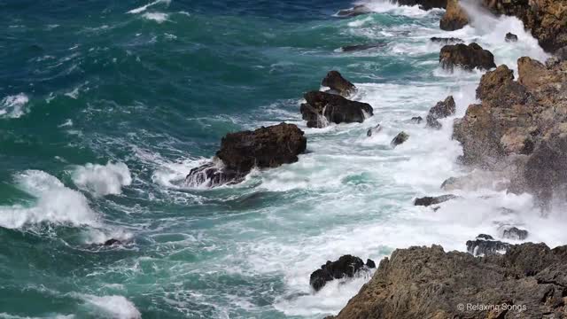 Mar para relaxar com som das gaivotas