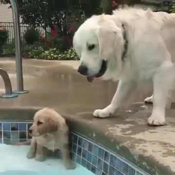 First time swimming / learn how to..