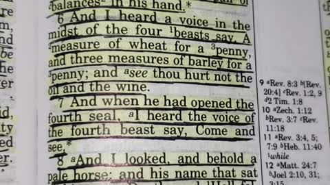 The Book Of Revelation - Chapter 6: The Seals