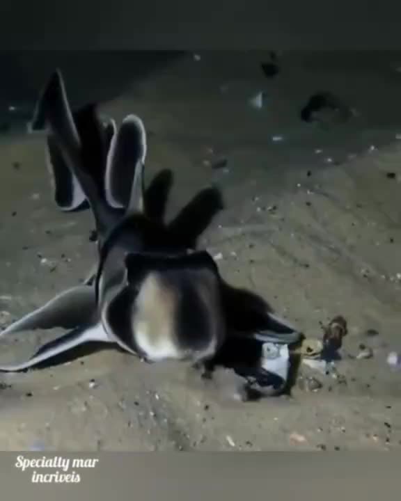 DO YOU KNOW THIS FISH???