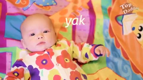 Cute babies laughing video