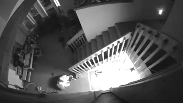 8.0 alaska earthquake