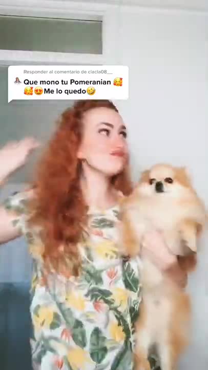 Cute and Funny Dog Videos Compilation 2021