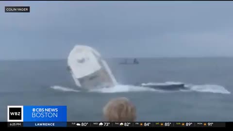 Whale capsizes boat off coast of New Hampshire