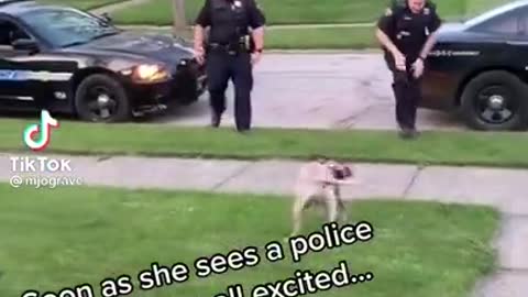 Happy dog is happy to see police officers