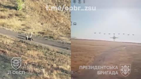 No Escape: Watch Ukrainian Drones Obliterate Russian Soldiers Fleeing in Panic