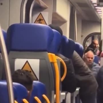 The fake asylum seeker in Italy wants to travel without a ticket and insults a