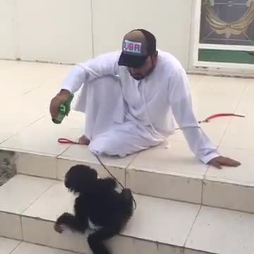 Baby Monkey is gone crazy for Soft Drink