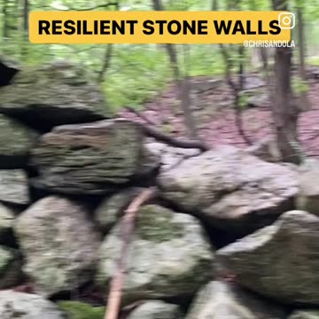 ONE TIME DELINEATIONS