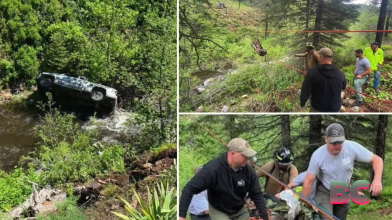 Man who drove off embankment saved after dog runs 4 miles for help